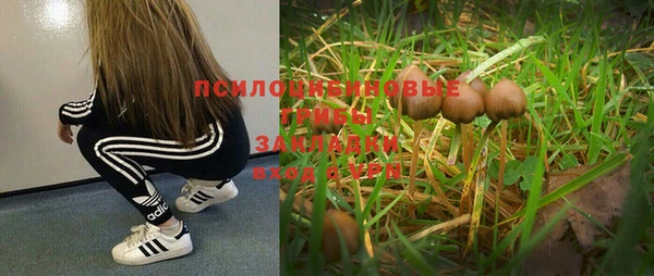 прущая мука Алексеевка
