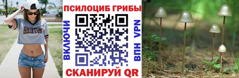 Галлюциногенные грибы Psilocybine cubensis  даркнет сайт  Мамадыш 
